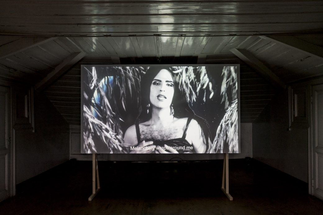 Exhibition view of the video installation 