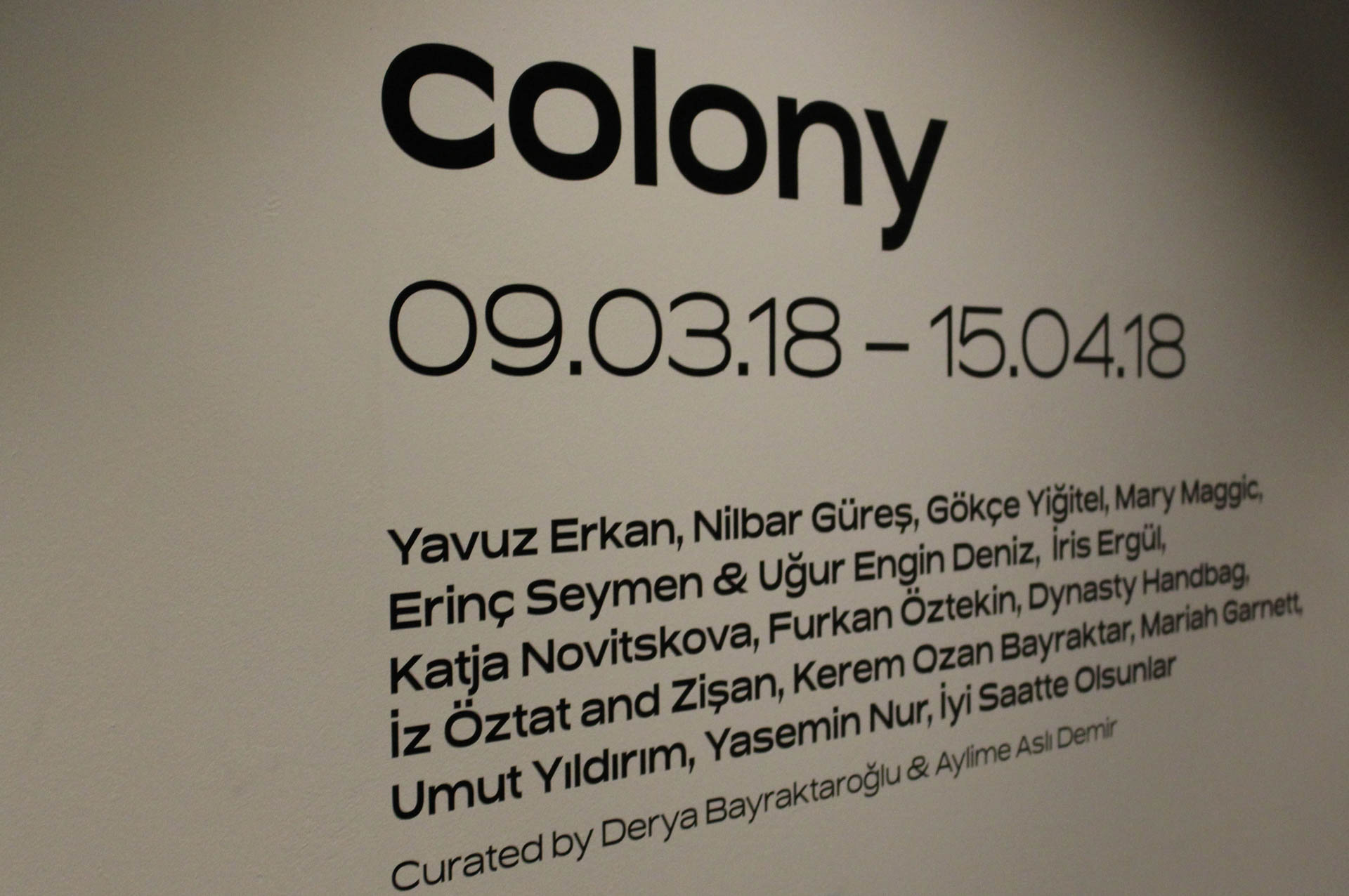 Opening colony. Photo: Kevin Clarke, SMU